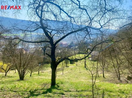 Prodej pozemku, zahrada, 3 807 m²