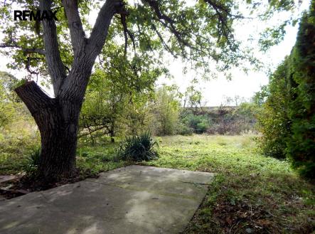Prodej pozemku, zahrada, 593 m²