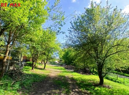 Prodej - pozemek, zahrada, 4 100 m²