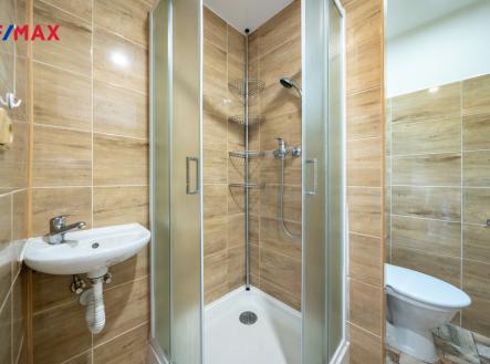 byt-seifertova-usti-nad-labem-martin-strojsa-remax-reality008.jpg