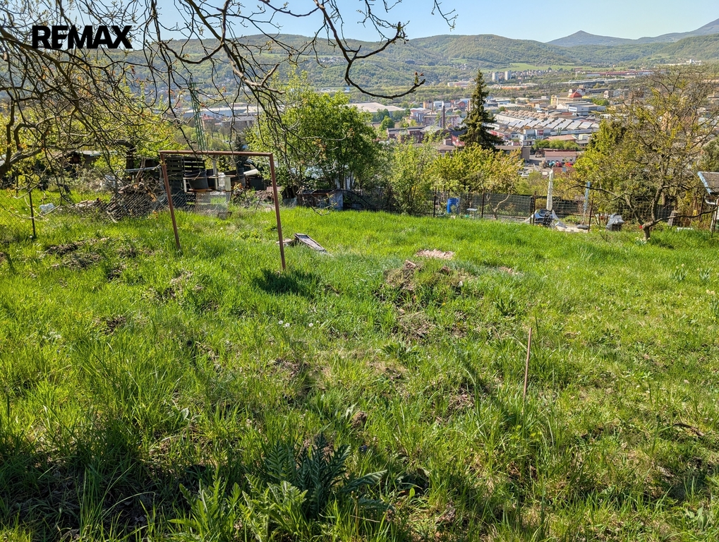 pxl-20260427-082417663.mp.jpg