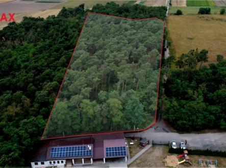 Prodej pozemku, les, 19 940 m²