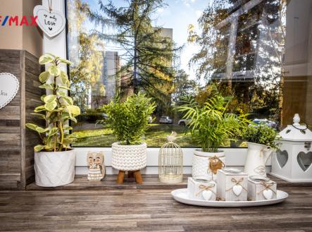 Příroda za i před oknem