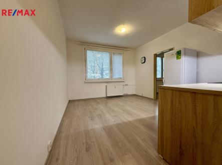 Pronájem bytu, 1+1, 35 m²