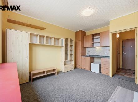 Prodej bytu, 1+kk, 20 m²