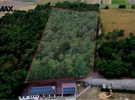 Prodej pozemku, les, 16 110 m²