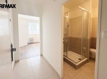 Pronájem bytu, 1+1, 36 m²