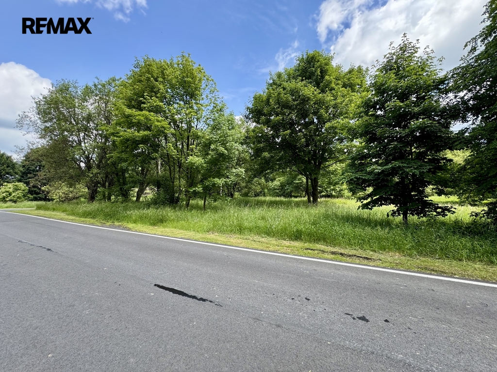 pozemek-krasny-les-martin-strojsa-reality-makler-remax002.jpeg