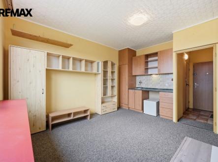 Prodej bytu, 1+kk, 20 m²