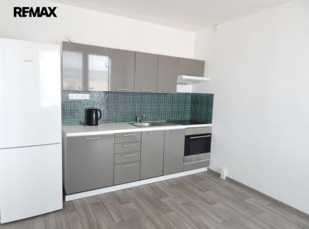 Pronájem bytu, 1+1, 41 m²