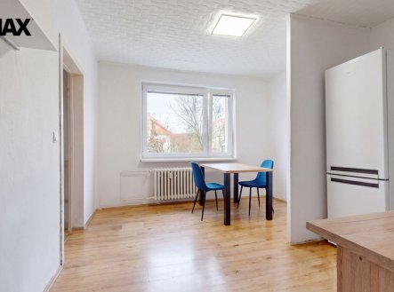 Prodej družstevního bytu s nájemníkem, 1+1, 37 m² v ulici Jindřicha Plachty - Mojžíř, Ústí nad Labem