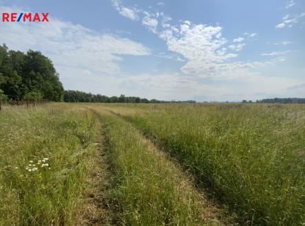 Prodej pozemku, trvalý travní porost, 107 498 m²