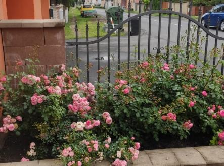 Prodej domu/vily, 173 m²