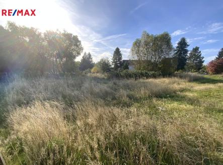 Prodej pozemku, trvalý travní porost, 2 155 m²