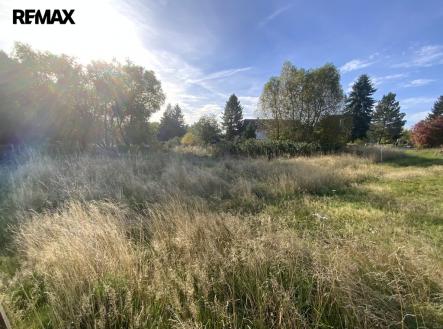 Prodej pozemku, trvalý travní porost, 2 155 m²