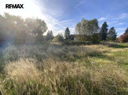 Prodej pozemku, trvalý travní porost, 2 155 m²