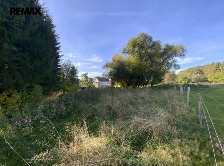 Prodej pozemku, trvalý travní porost, 2 155 m²