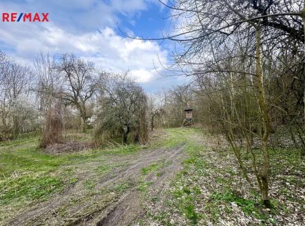 Prodej pozemku, zahrada, 6 042 m² obrázek