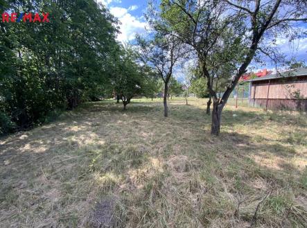 Prodej pozemku pro bydlení, 2 919 m²