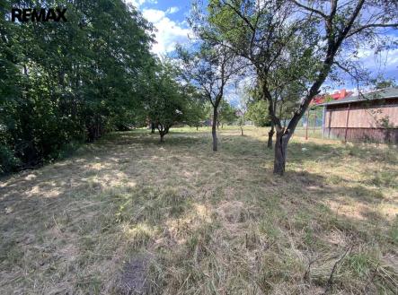 Prodej pozemku pro bydlení, 2 919 m²