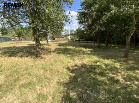 Prodej pozemku pro bydlení, 2 919 m²