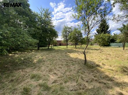 Prodej pozemku pro bydlení, 2 919 m²