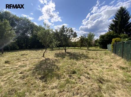 Prodej pozemku pro bydlení, 2 919 m² obrázek