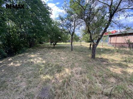 Prodej pozemku pro bydlení, 2 919 m²