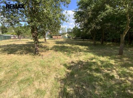 Prodej pozemku pro bydlení, 2 919 m²