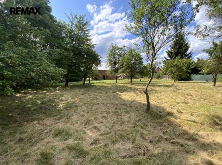 Prodej pozemku pro bydlení, 2 919 m²