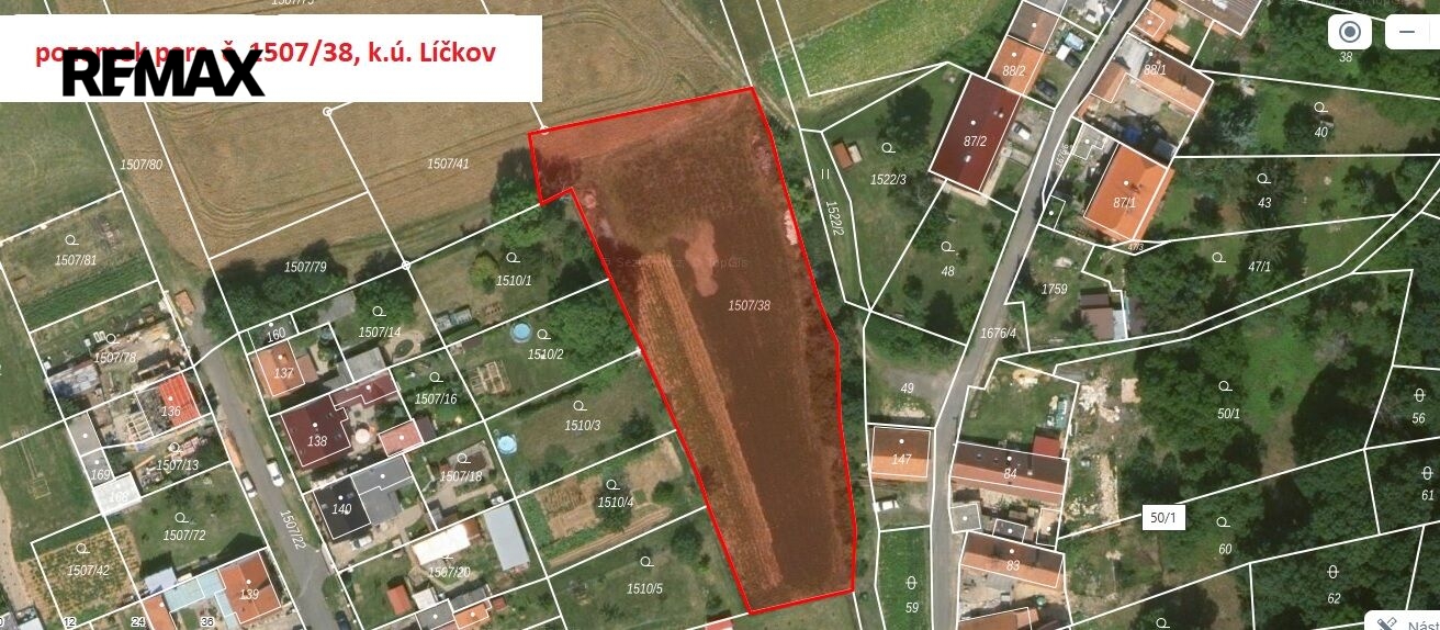 lickov-1.jpg