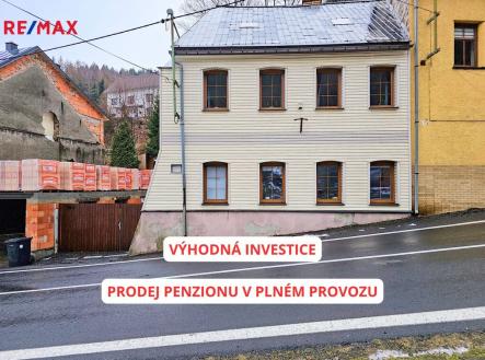 Prodej - dům/vila, 250 m²