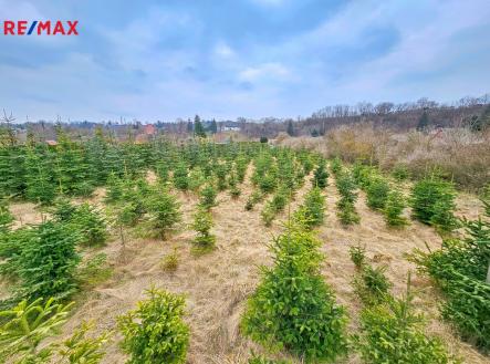 Prodej pozemku, zahrada, 2 463 m²