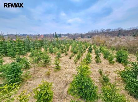 Prodej pozemku, zahrada, 2 463 m²