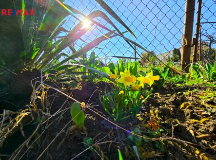 Prodej pozemku, zahrada, 308 m²