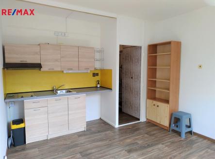 Pronájem bytu, 1+kk, 20 m²