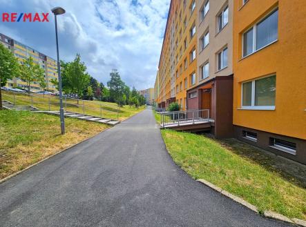 20250718-115403.jpg