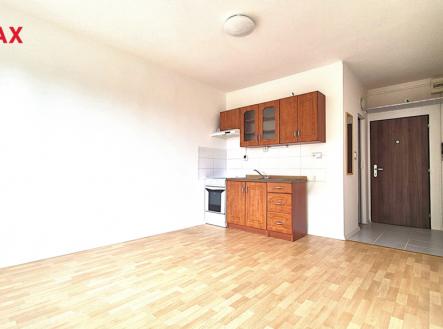 Pronájem bytu, 1+kk, 19 m²