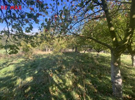 Prodej pozemku, zahrada, 702 m²