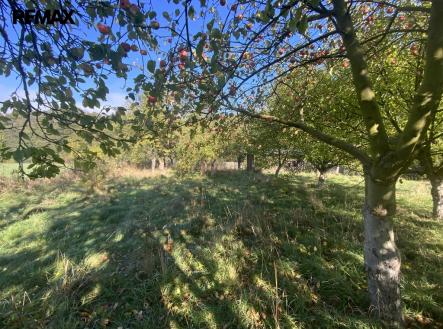 Prodej pozemku, zahrada, 702 m²