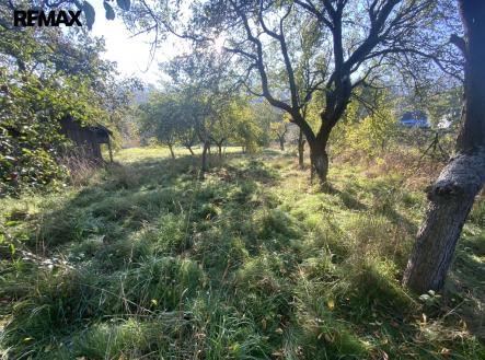 Prodej pozemku, zahrada, 702 m²