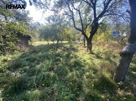 Prodej pozemku, zahrada, 702 m²