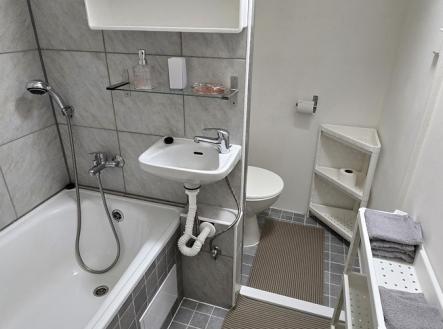 Pronájem bytu, 1+kk, 20 m²