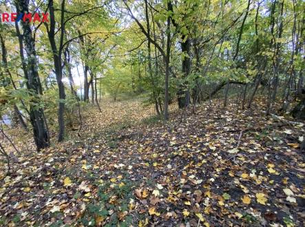 Prodej pozemku, ostatní, 2 385 m²