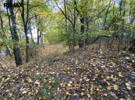 Prodej pozemku, ostatní, 2 385 m²