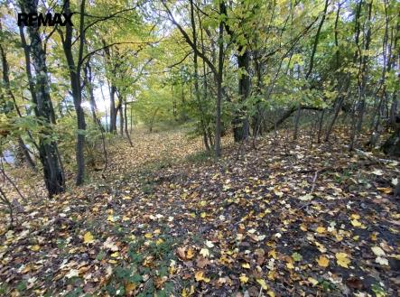 Prodej pozemku, ostatní, 2 385 m²