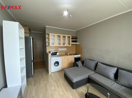 Pronájem bytu, 1+kk, 24 m²