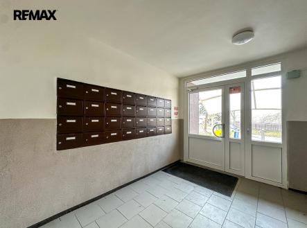 img-7790.jpeg