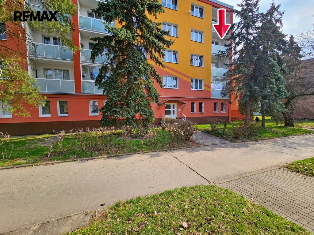 20260319-110011-1.jpg