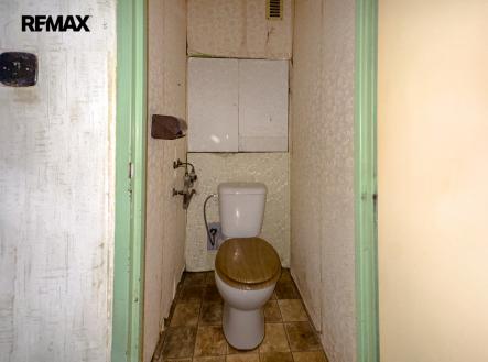 img-0362.jpeg